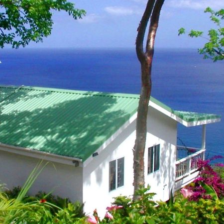 Nature'S Paradise Bed & Breakfast Мариго Бей Екстериор снимка